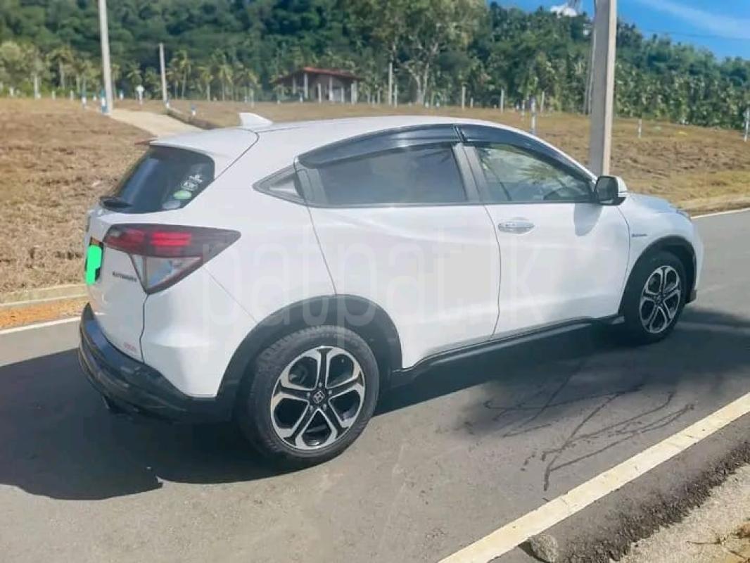 Advertisement image 1