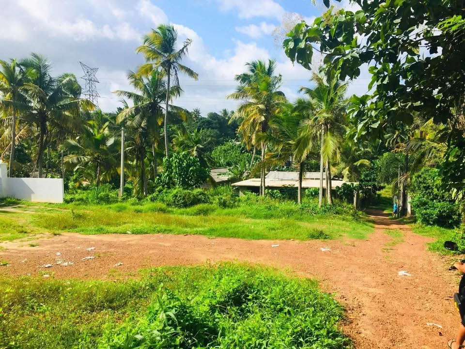 Residential Land for Sale in Kandana ads-image-1