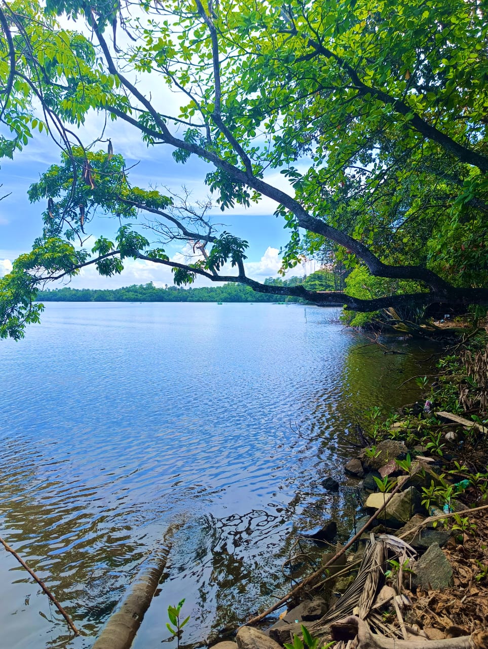 Commercial Land for Sale in Bentota