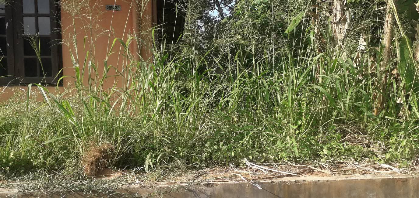 Commercial Land for Sale in Athurugiriya