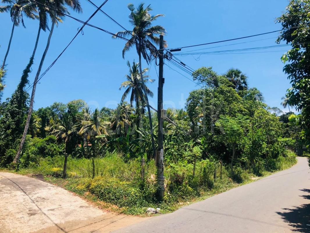 Land for Sale in Ekala ads-image-1