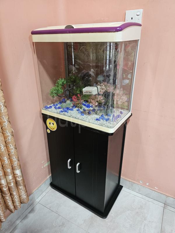 Boyu fish tank ads-image-1