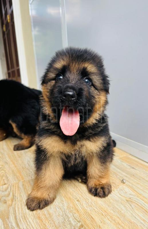 Advertisement image 6