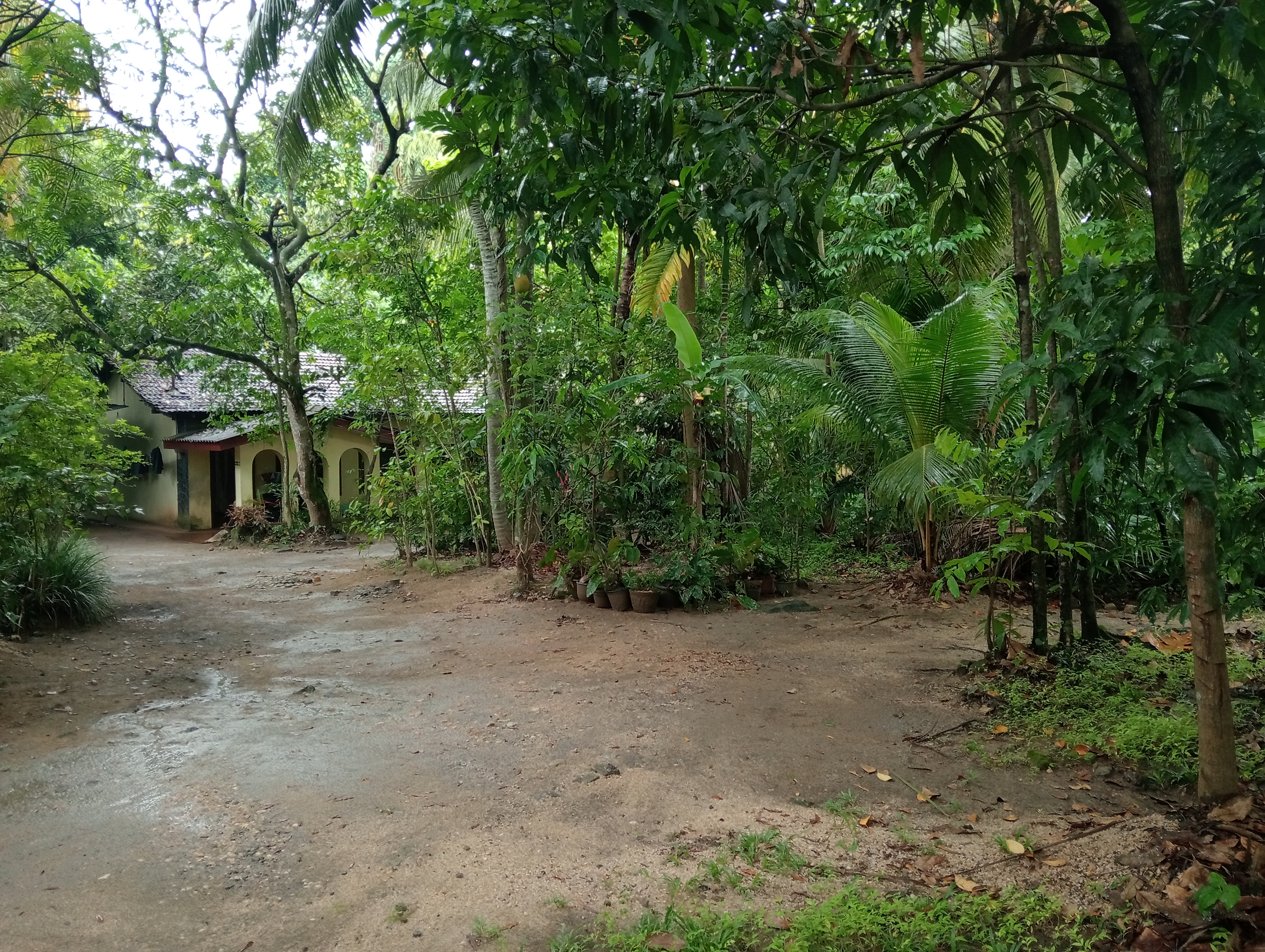 Commercial Land for Sale in Mawanella