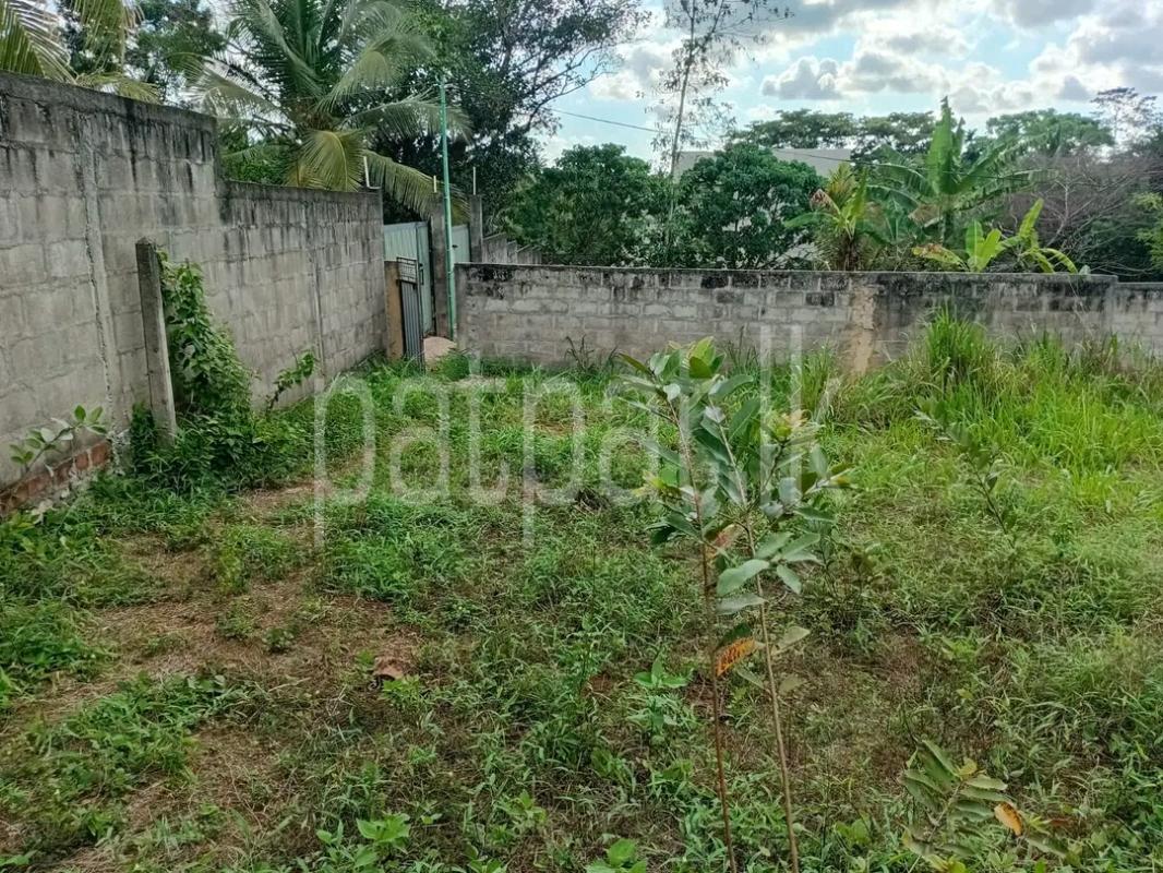 Residential Land for Sale in Avissawella