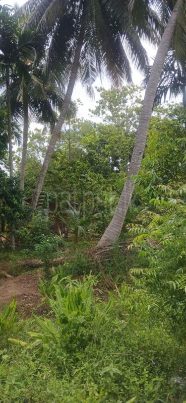 Residential Land for Sale in Kataragama ads-image-1