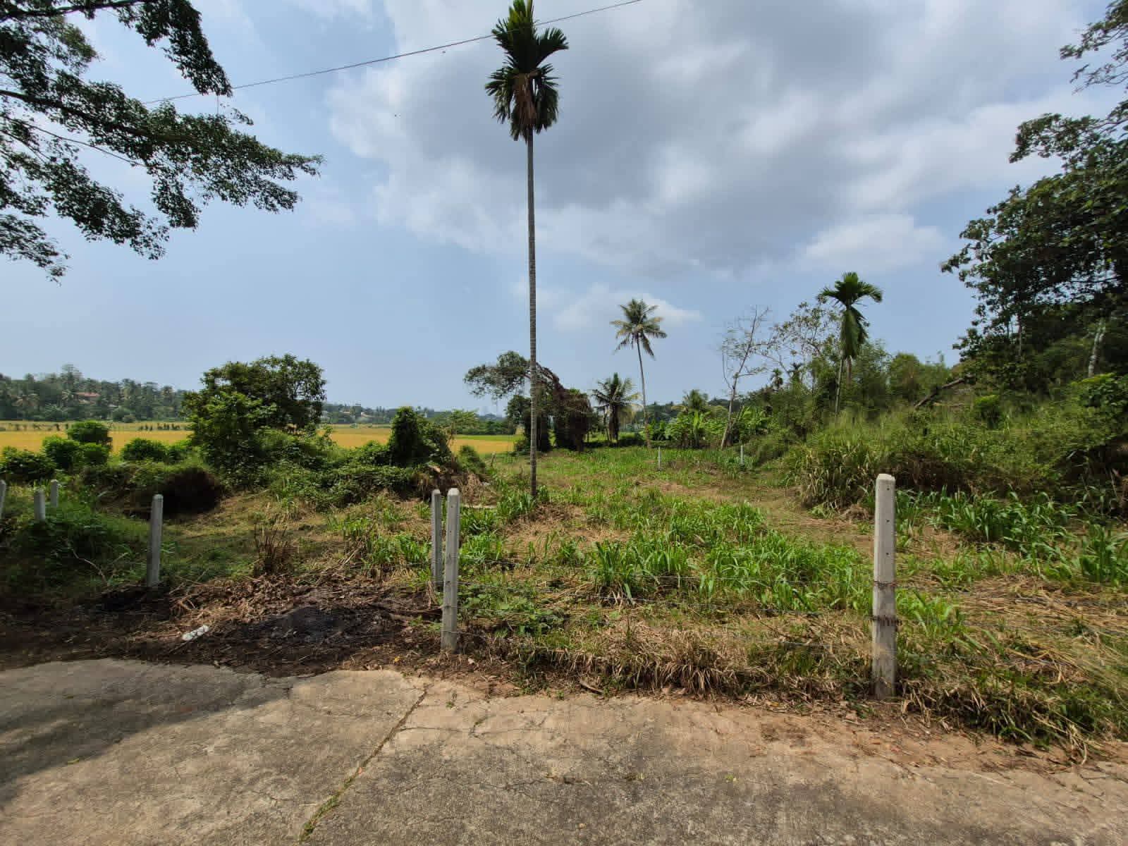 Commercial Land for Sale in Malabe