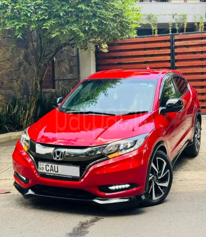 Advertisement image 1