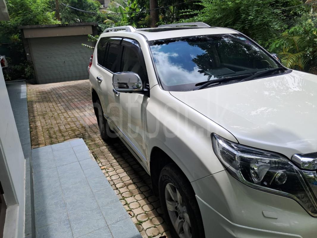 Advertisement image 3