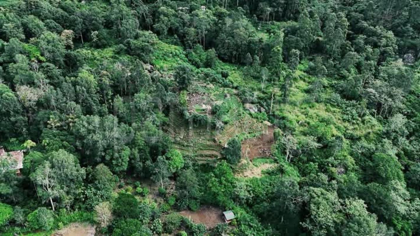 Agricultural Land for Sale in Haputale ads-image-1