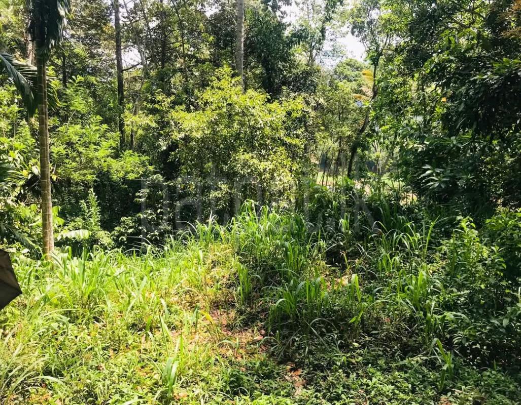 Residential Land for Sale in Gampola