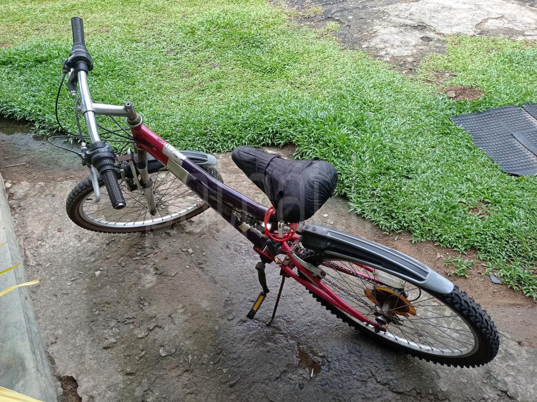 Advertisement image 6