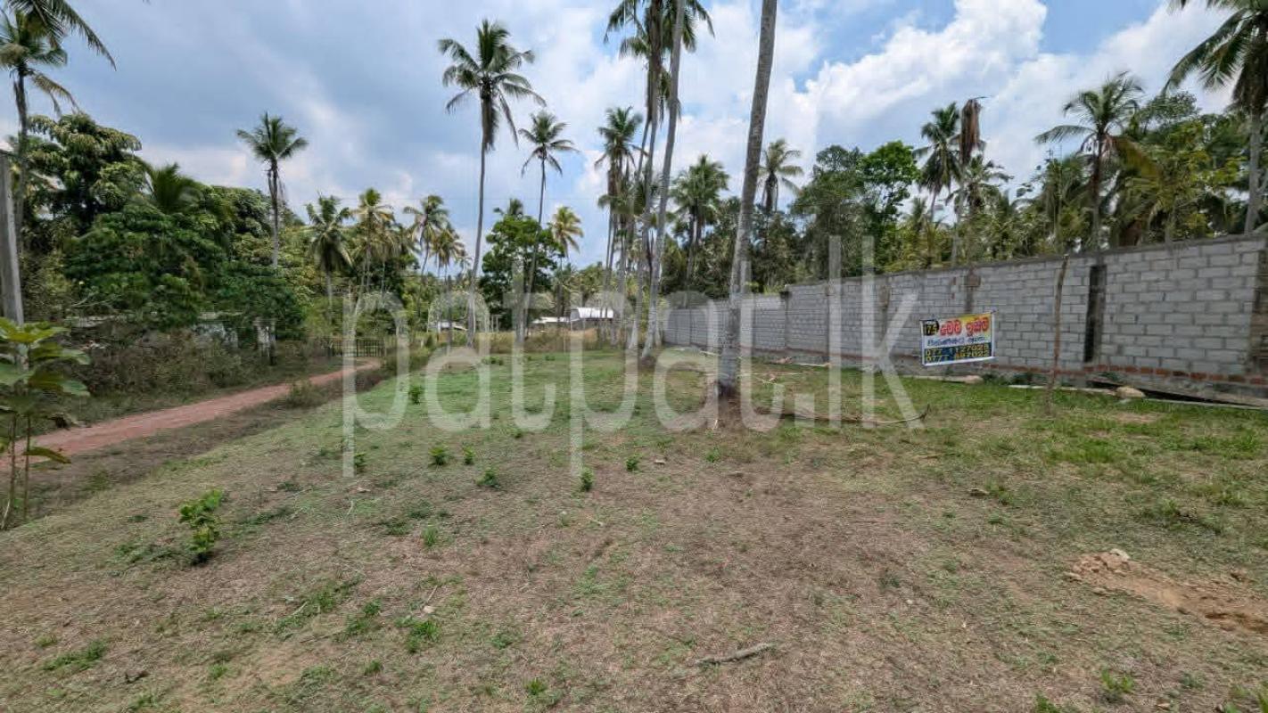Residential Land for Sale in Dunagaha