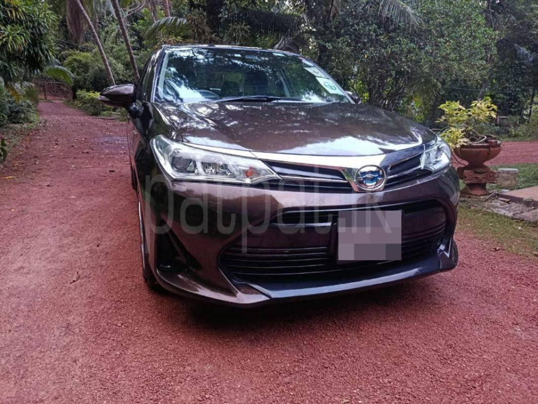 Advertisement image 1