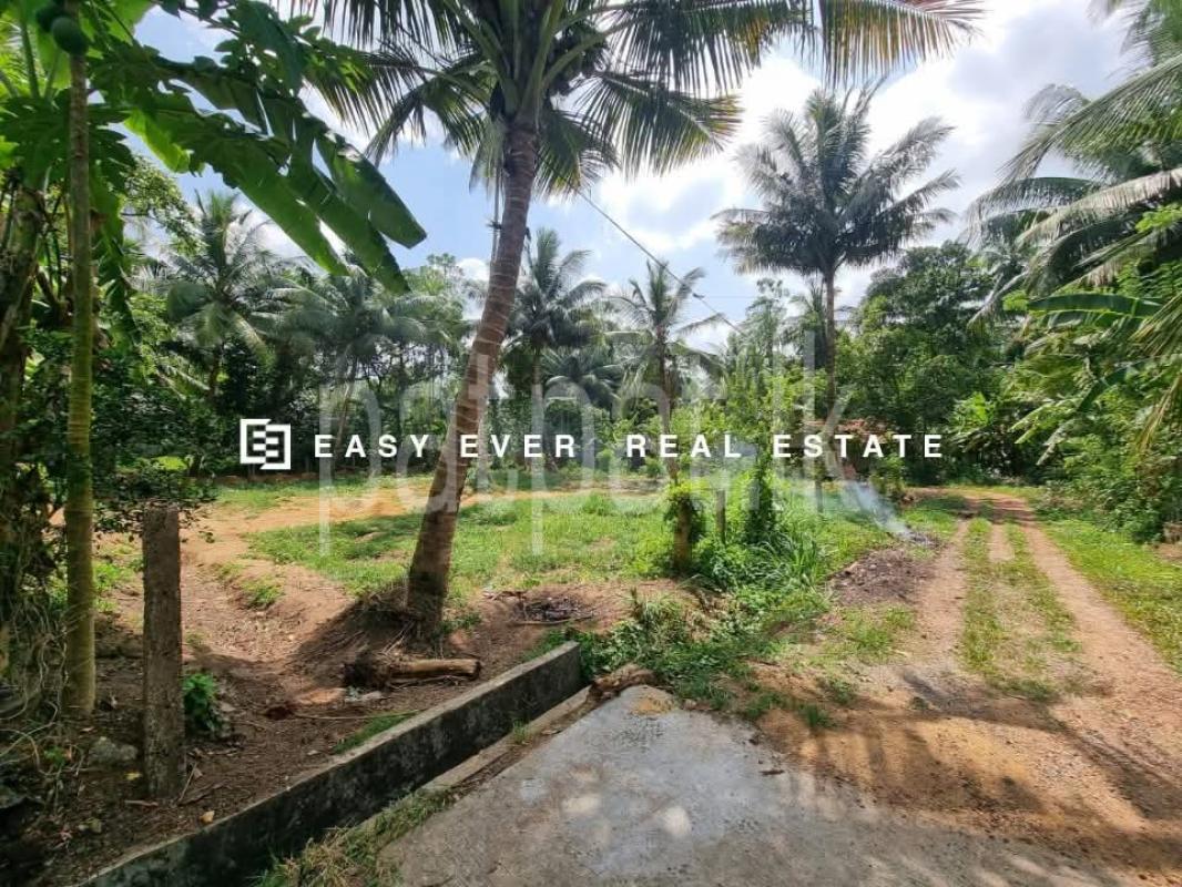 Residential Land for Sale in Delgoda