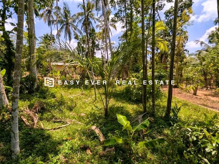 Commercial Land for Sale in Yakkala