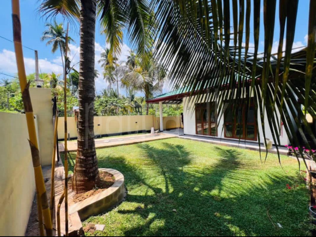 House for Sale in Katana ads-image-1