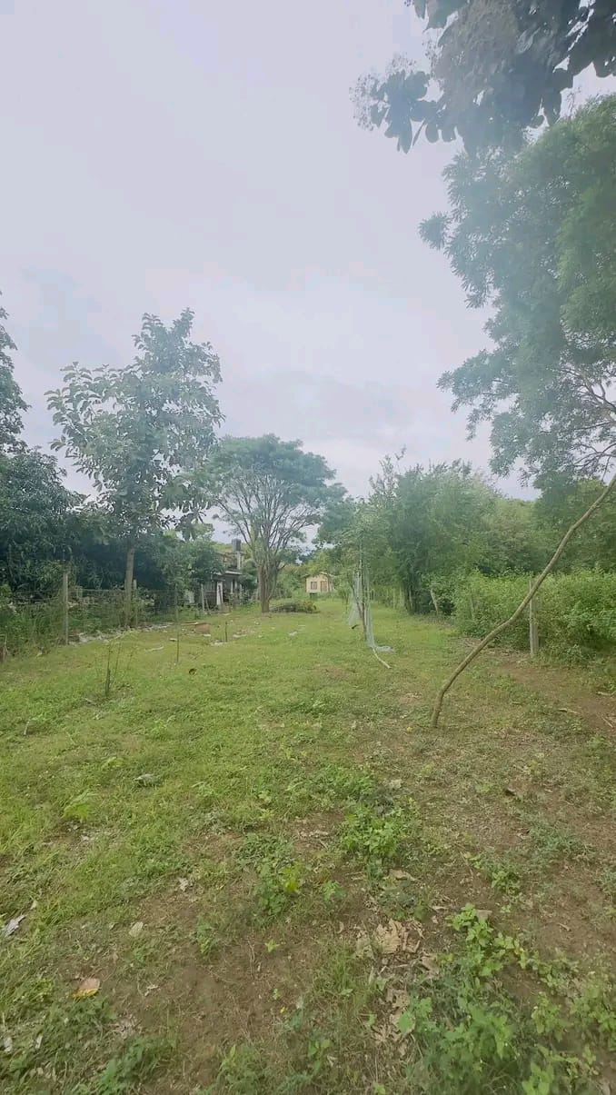 Residential Land for Sale in Kataragama ads-image-1