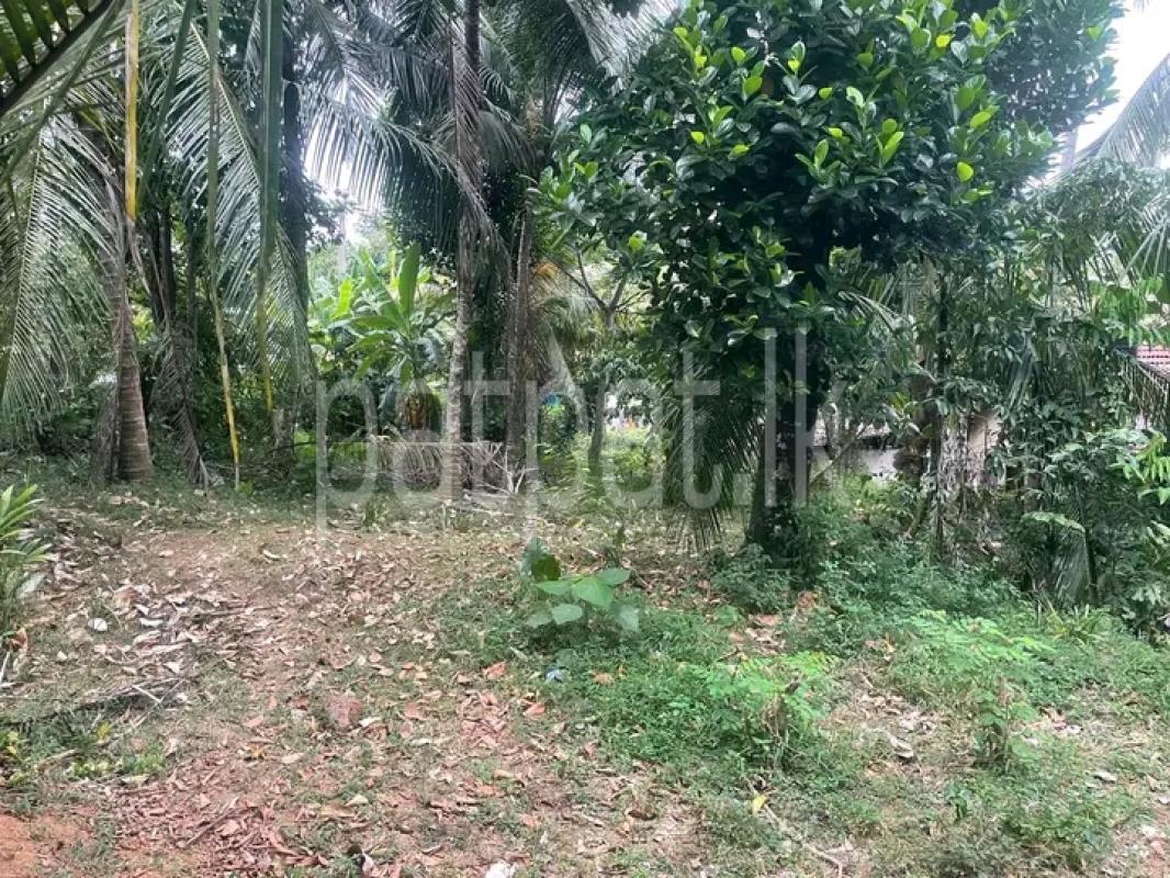 Commercial Land for Sale in Homagama