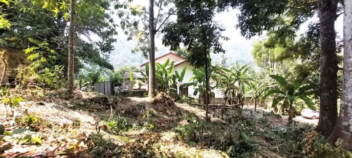 Commercial Land for Sale in Kandy