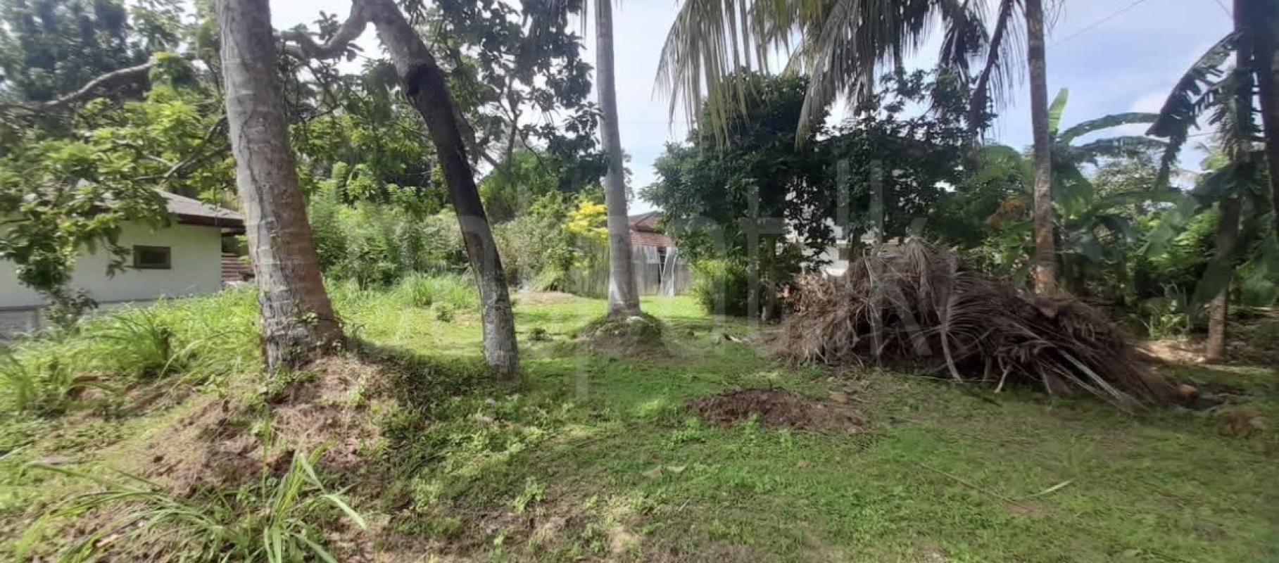 Commercial Land for Sale in Galle