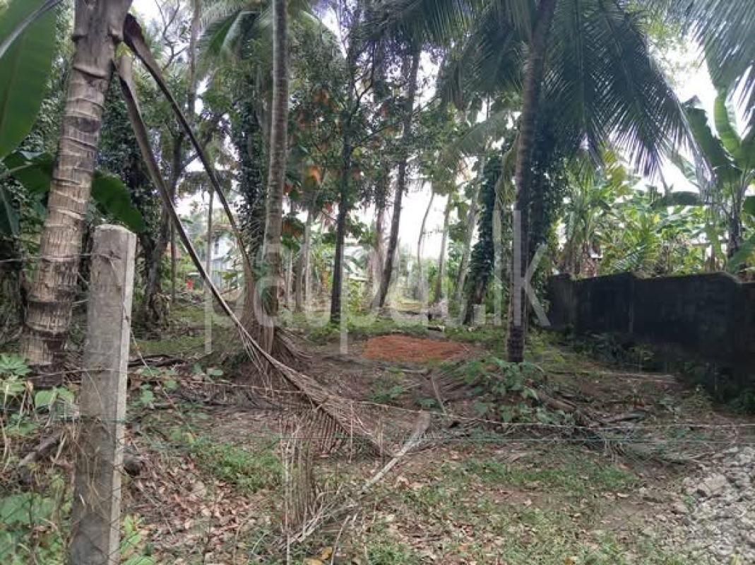 Residential Land for Sale in Kadawatha ads-image-1