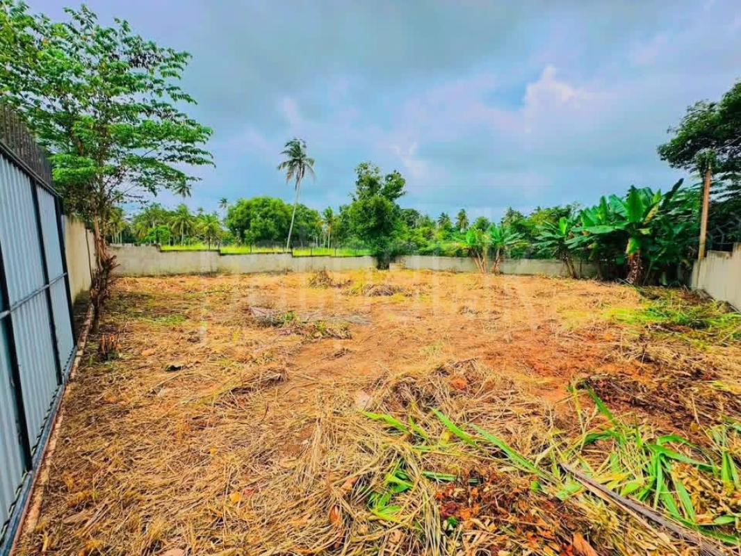 Residential Land for Sale in Veyangoda