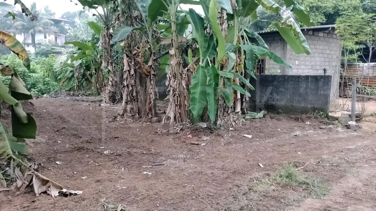 Agricultural Land for Sale in Maggona