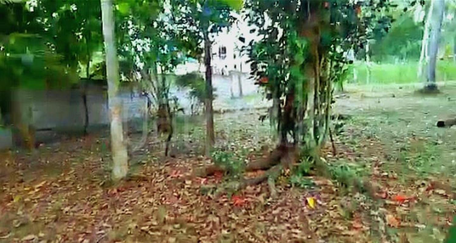 Agricultural Land for Sale in Yakkala ads-image-1