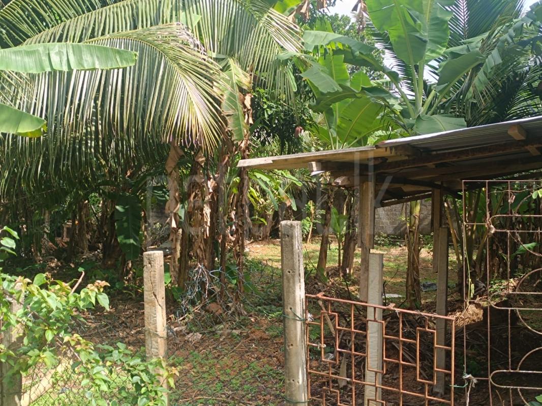 Residential Land for Sale in Dankotuwa ads-image-1