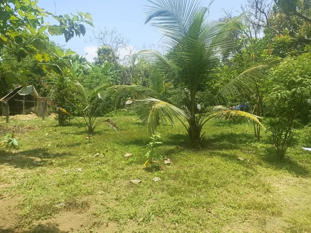 Residential Land for Sale in Puttalam
