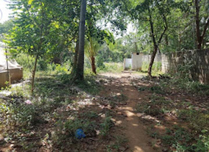Commercial Land for Sale in Tissamaharama