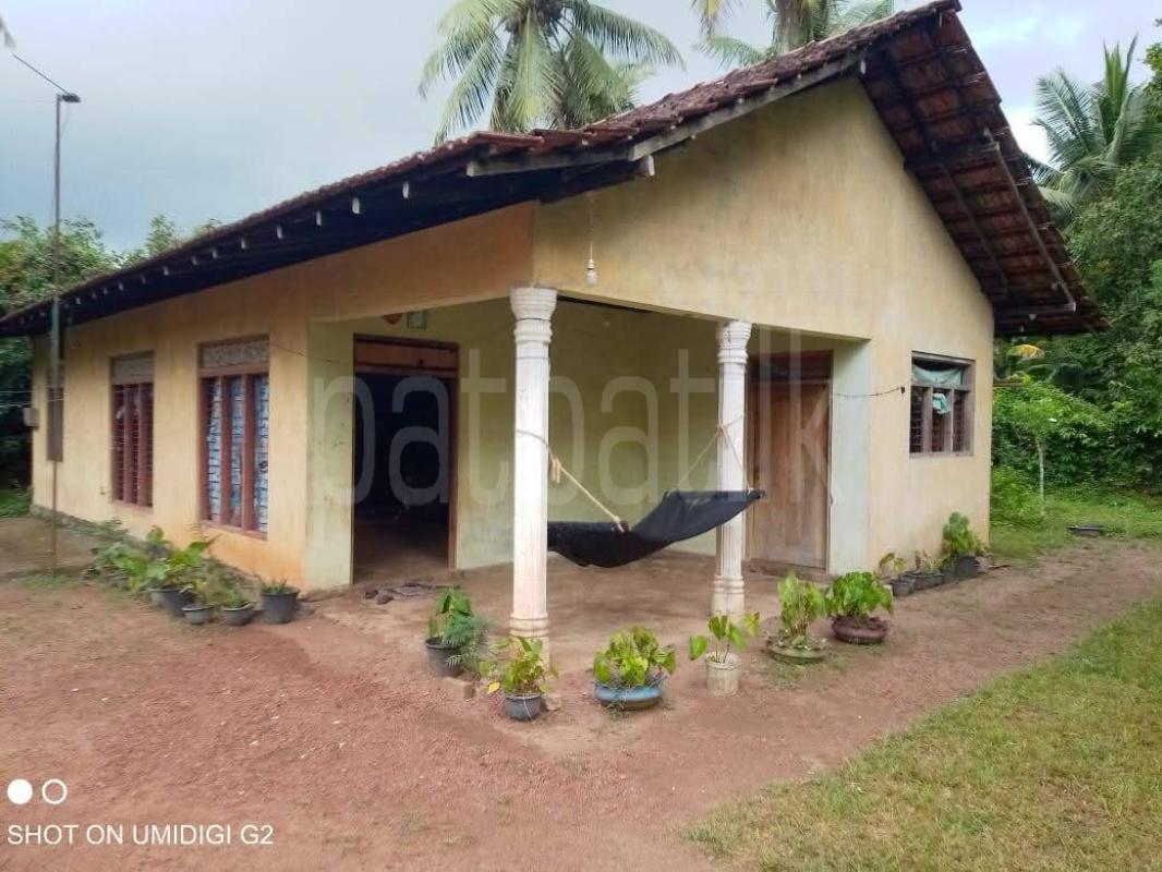 House for Sale in Divulapitiya ads-image-1