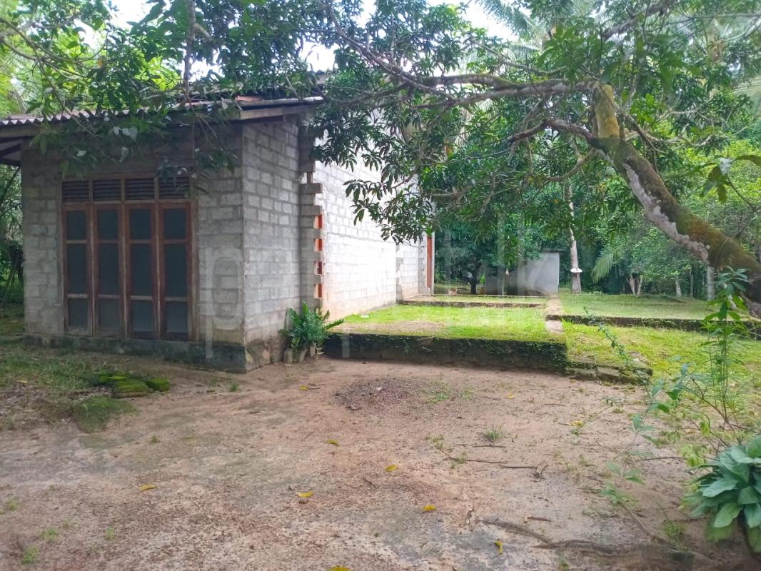 House for Sale in Millaniya ads-image-1