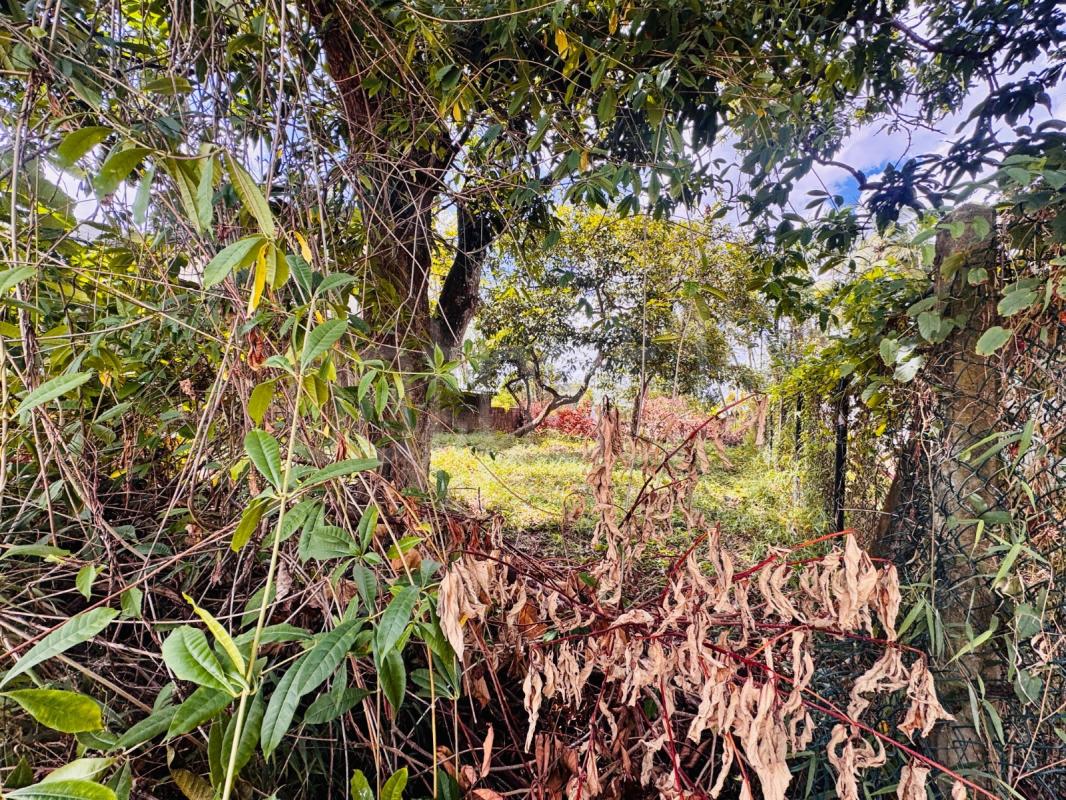 Residential Land for Sale in Battaramulla