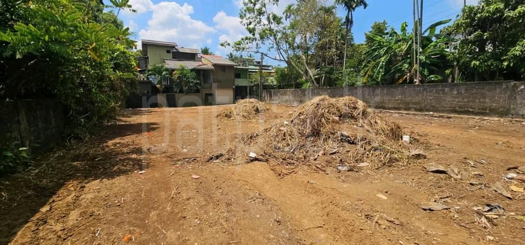 Commercial Land for Sale in Negombo ads-image-1