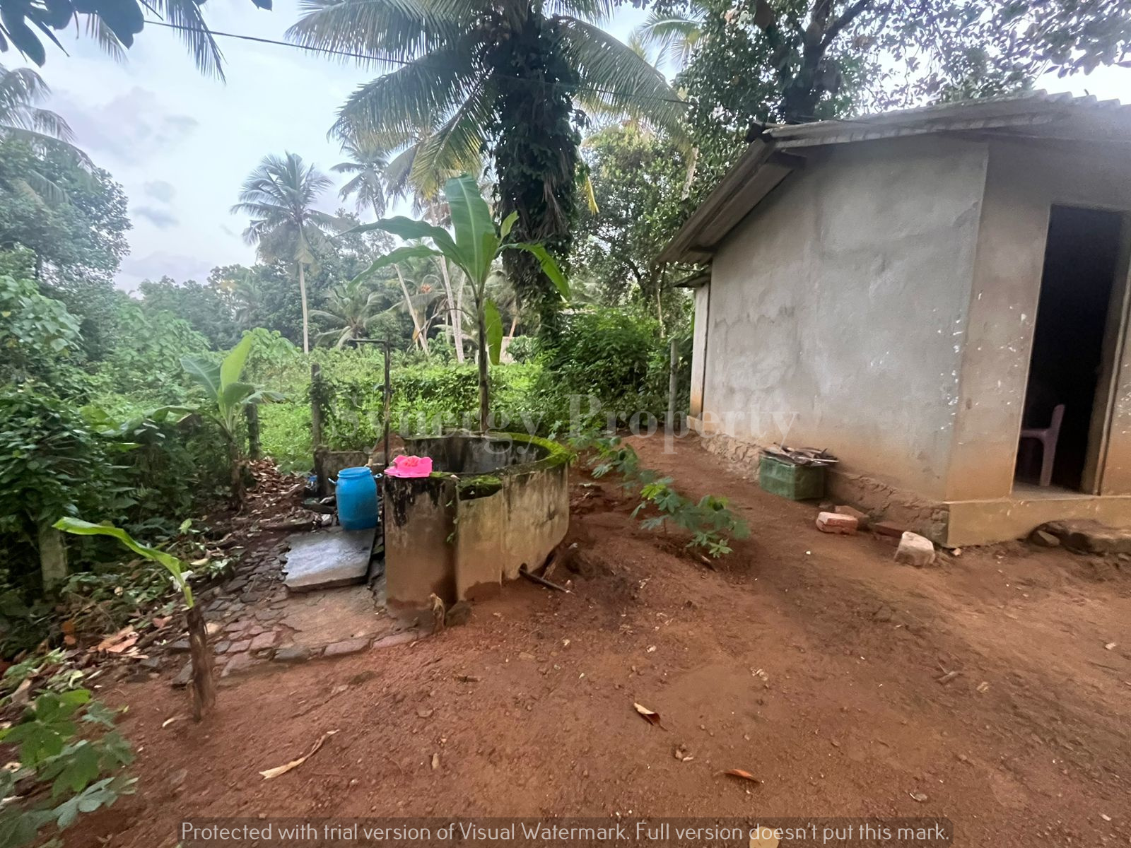 Advertisement image 5