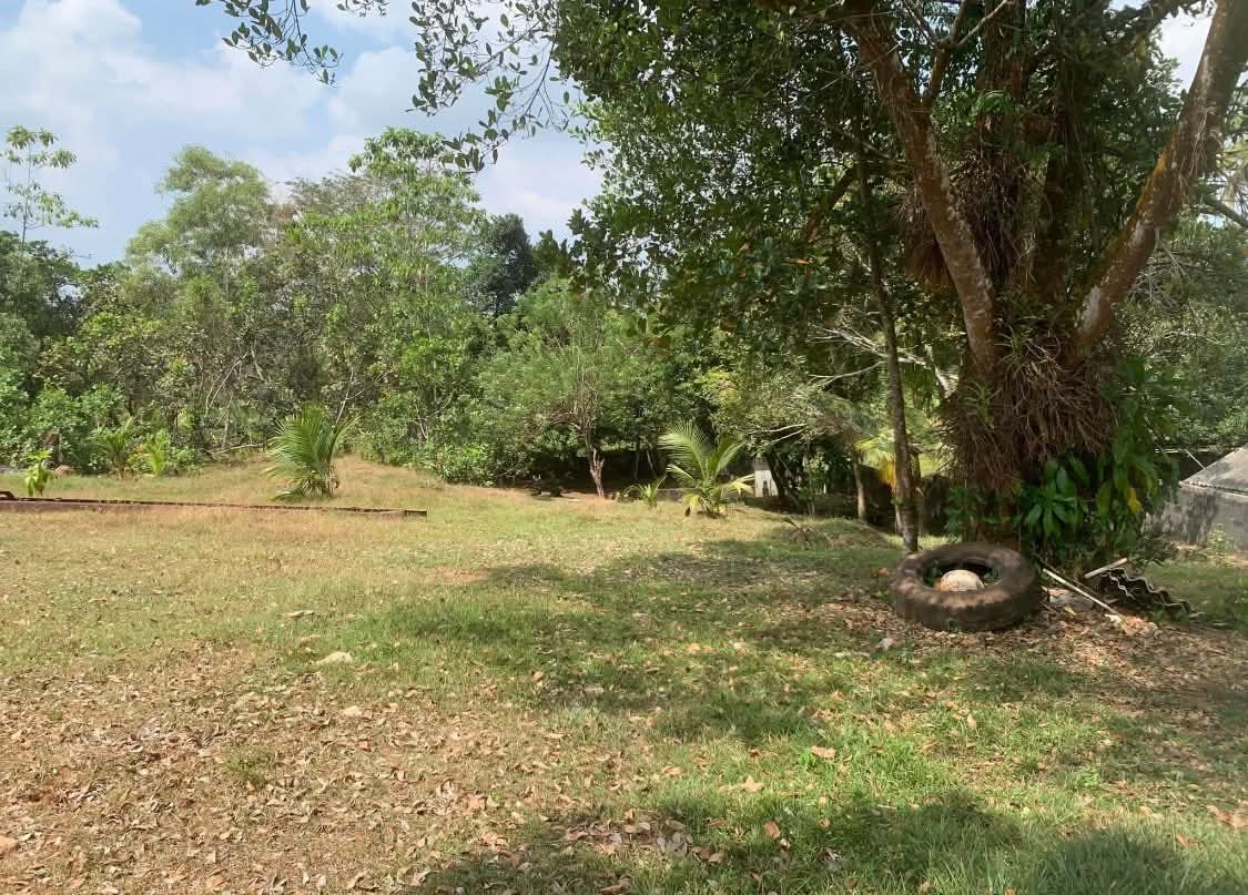 Residential Land for Sale in Homagama