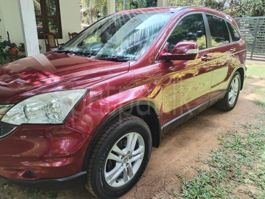 Advertisement image 6