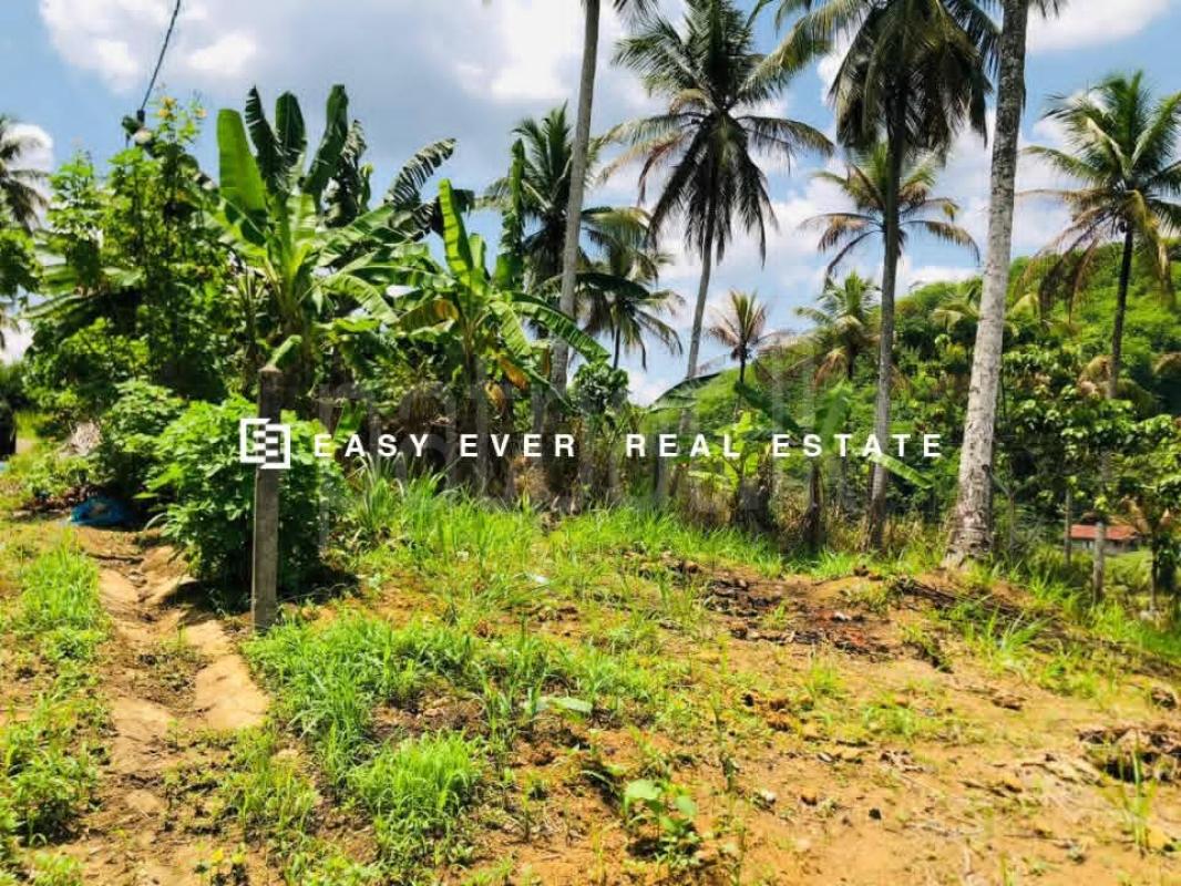 Residential Land for Sale in Warakapola