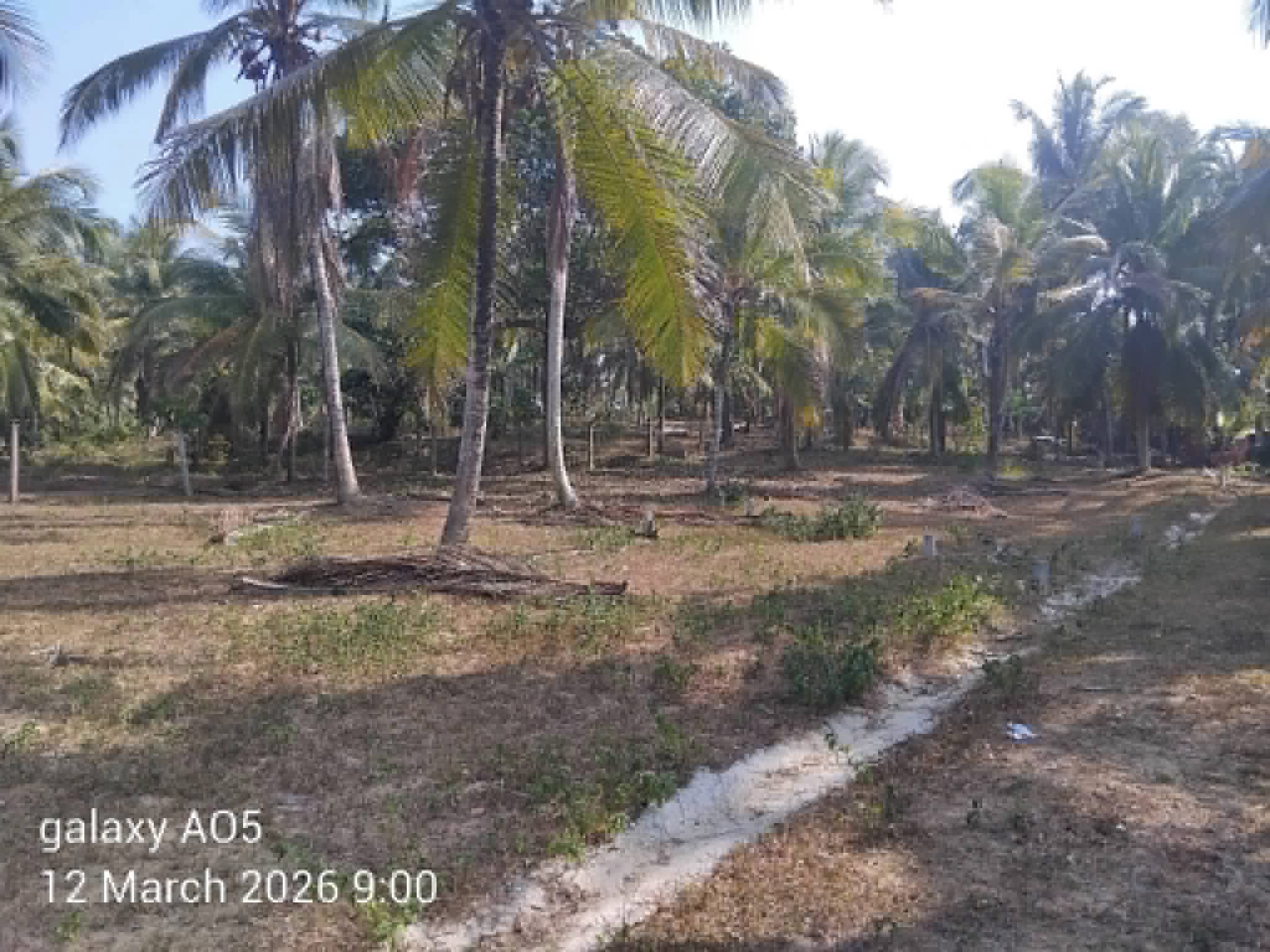 Commercial Land for Sale in Kadawatha