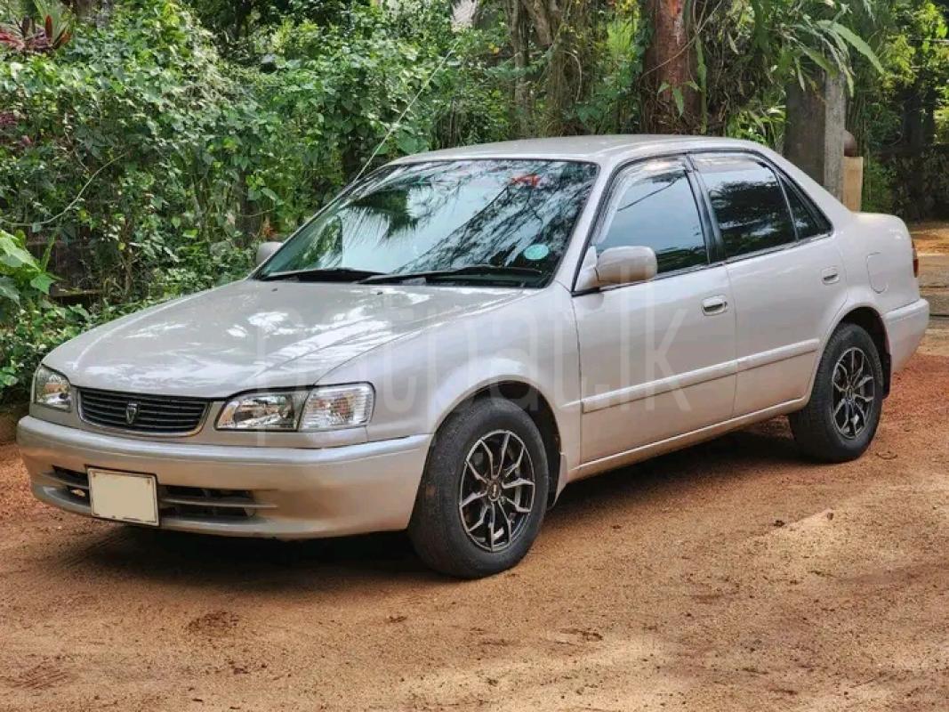 Toyota Corolla 1998 - பயன்படுத்தப்பட்டது கார் sale in Sri Lanka - patpat.lk