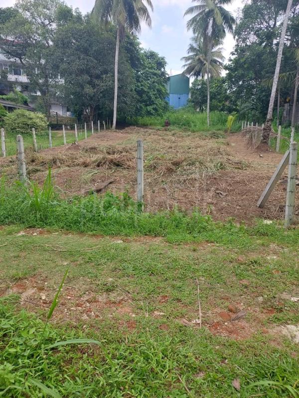 Agricultural Land for Sale in Ridigama ads-image-1