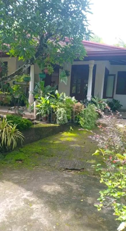 House for Sale in Horana ads-image-1