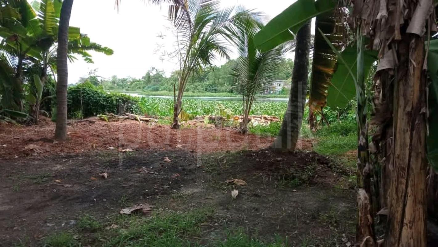 Residential Land for Sale in Ridibendiella ads-image-1