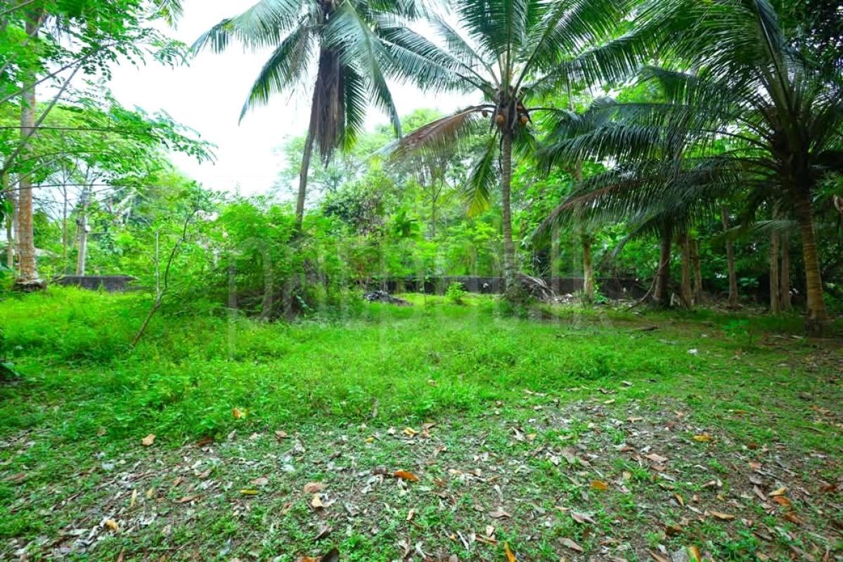Commercial Land for Sale in Moratuwa ads-image-1