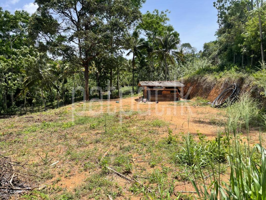 Residential Land for Sale in Balangoda