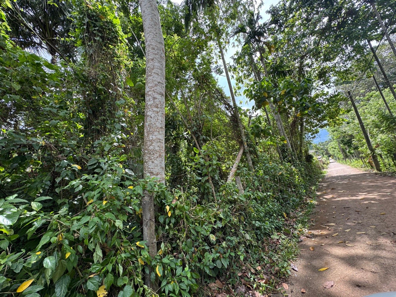 Residential Land for Sale in Matale