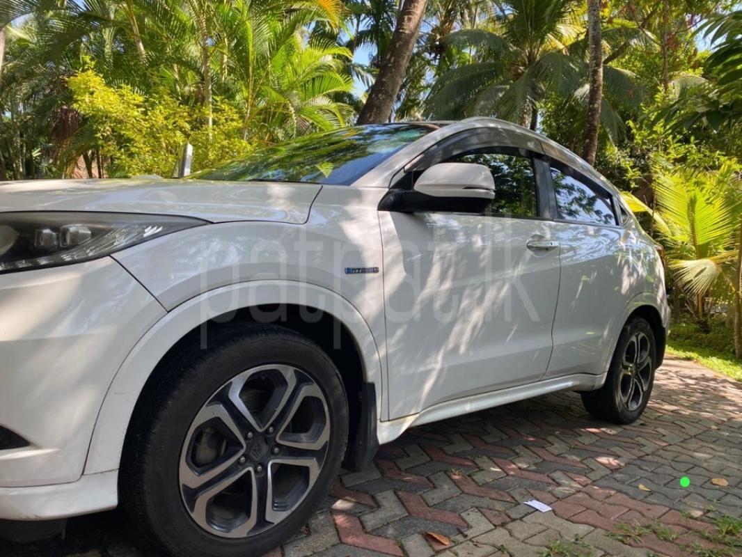 Advertisement image 3