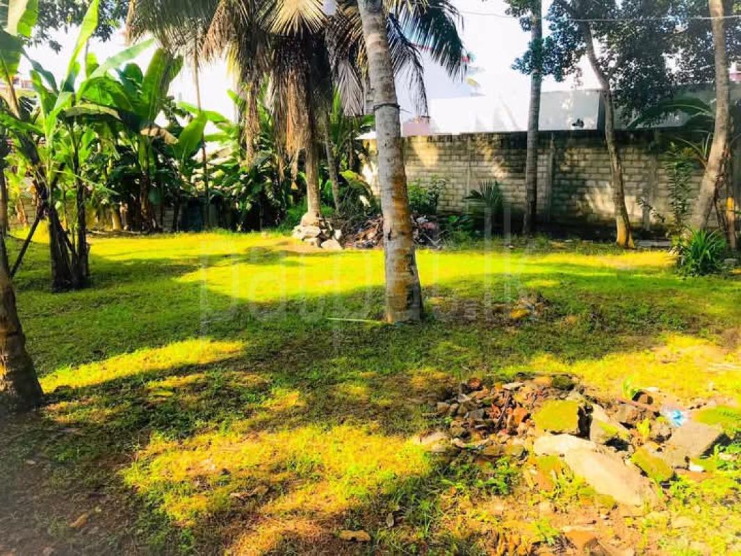 Residential Land for Sale in Dehiwala ads-image-1
